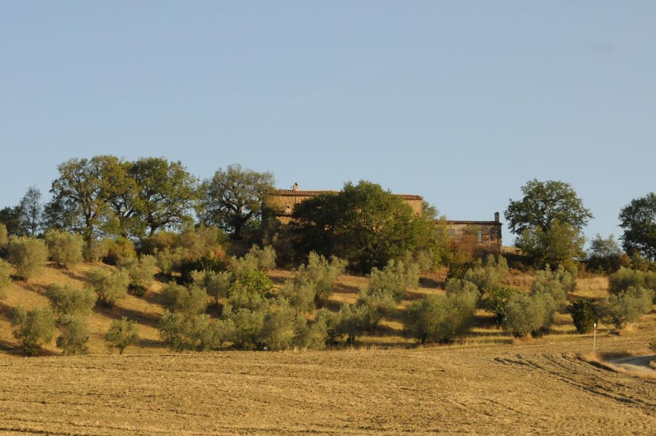 Podere Palazzo カスティリオーネ・ドルチャ エクステリア 写真